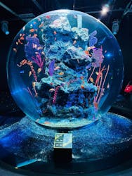 AQUARIUM × ART　atoaに投稿された画像（2025/12/21）