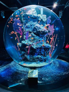 AQUARIUM × ART　atoaに投稿された画像（2025/12/21）