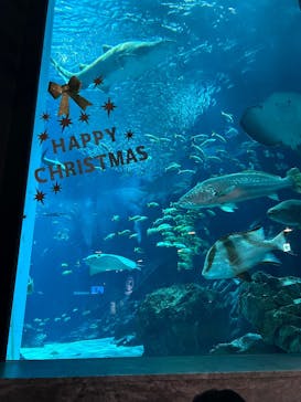 マリンワールド海の中道に投稿された画像（2025/12/21）