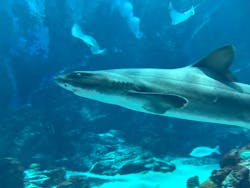 マリンワールド海の中道に投稿された画像（2025/12/21）