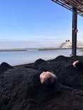 Sand SPA（別府海浜砂湯）に投稿された画像（2025/12/21）