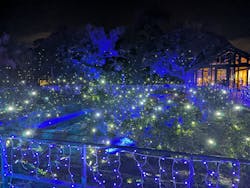 江の島シーキャンドルに投稿された画像（2025/12/21）