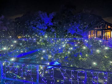 江の島シーキャンドルに投稿された画像（2025/12/21）