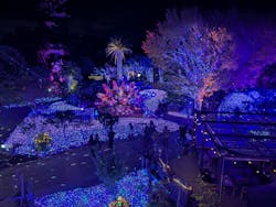 江の島シーキャンドルに投稿された画像（2025/12/21）