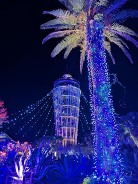 江の島シーキャンドルに投稿された画像（2025/12/21）