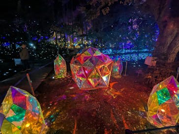 江の島シーキャンドルに投稿された画像（2025/12/21）