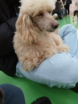 つくばわんわんランドに投稿された画像（2025/12/21）