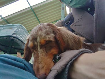 つくばわんわんランドに投稿された画像（2025/12/21）