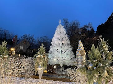 箱根ガラスの森美術館に投稿された画像（2025/12/21）