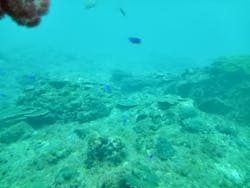 串本海中公園水族館に投稿された画像（2025/12/21）