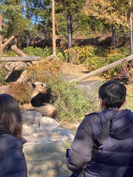 恩賜上野動物園に投稿された画像（2025/12/21）