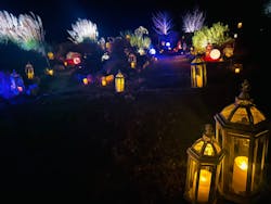 世羅高原農場に投稿された画像（2025/12/21）