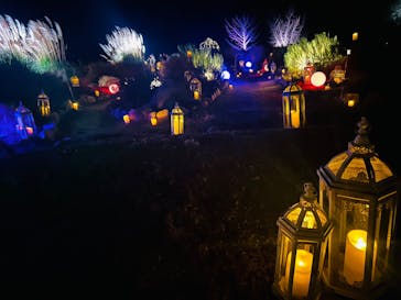 世羅高原農場に投稿された画像（2025/12/21）