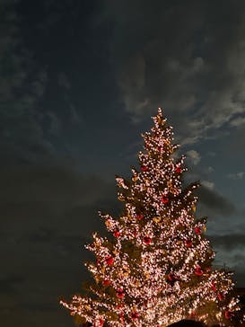 Christmas Market in 横浜赤レンガ倉庫 2025に投稿された画像（2025/12/21）