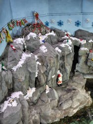 島根県立 しまね海洋館に投稿された画像（2025/12/21）