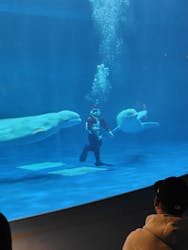 島根県立 しまね海洋館に投稿された画像（2025/12/21）