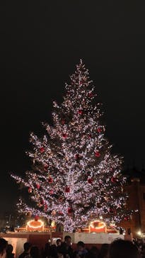 Christmas Market in 横浜赤レンガ倉庫 2025に投稿された画像（2025/12/21）