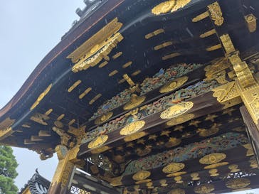 京都市観光協会（催行運営：株式会社らくたび）に投稿された画像（2025/12/21）