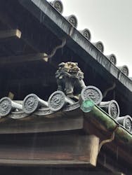 京都市観光協会（催行運営：株式会社らくたび）に投稿された画像（2025/12/21）