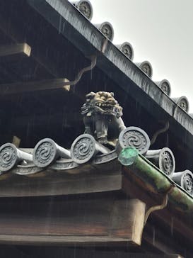 京都市観光協会（催行運営：株式会社らくたび）に投稿された画像（2025/12/21）