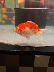 すみだ水族館に投稿された画像（2025/12/21）