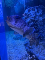 すみだ水族館に投稿された画像（2025/12/21）