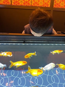 すみだ水族館に投稿された画像（2025/12/21）