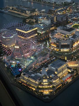 横浜ランドマークタワー 69階展望フロア スカイガーデンに投稿された画像（2025/12/21）