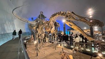 福井県立恐竜博物館に投稿された画像（2025/12/21）