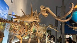 福井県立恐竜博物館に投稿された画像（2025/12/21）