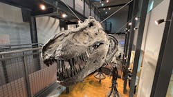 福井県立恐竜博物館に投稿された画像（2025/12/21）