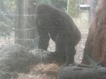 恩賜上野動物園に投稿された画像（2025/12/21）