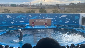 仙台うみの杜水族館に投稿された画像（2025/12/21）