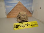 ブルックリン博物館所蔵 特別展 古代エジプト ー掘り起こせ、三千年の謎― 福岡会場に投稿された画像（2025/12/21）