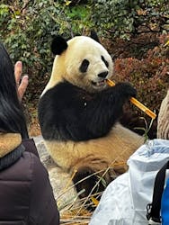 恩賜上野動物園に投稿された画像（2025/12/21）