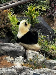 恩賜上野動物園に投稿された画像（2025/12/21）