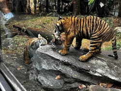 恩賜上野動物園に投稿された画像（2025/12/21）