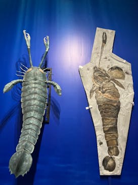 特別展「大絶滅展―生命史のビッグファイブ」に投稿された画像（2025/12/21）