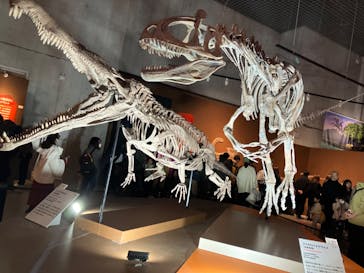 特別展「大絶滅展―生命史のビッグファイブ」に投稿された画像（2025/12/21）