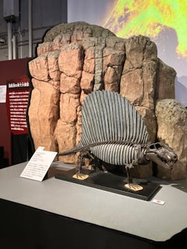 特別展「大絶滅展―生命史のビッグファイブ」に投稿された画像（2025/12/21）