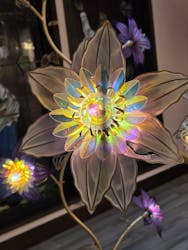 EnglishGardenローザンベリー多和田に投稿された画像（2025/12/21）