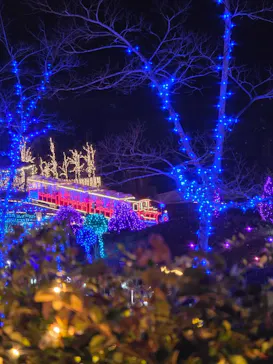 EnglishGardenローザンベリー多和田に投稿された画像（2025/12/21）