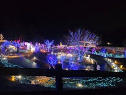 EnglishGardenローザンベリー多和田に投稿された画像（2025/12/21）