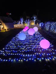 EnglishGardenローザンベリー多和田に投稿された画像（2025/12/21）