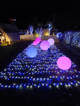 EnglishGardenローザンベリー多和田に投稿された画像（2025/12/21）