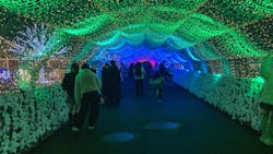 東京メガイルミに投稿された画像（2025/12/21）