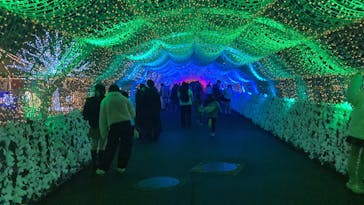 東京メガイルミに投稿された画像（2025/12/21）