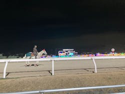 東京メガイルミに投稿された画像（2025/12/21）