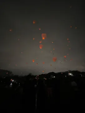 大泉緑地サンクスランタンに投稿された画像（2025/12/21）