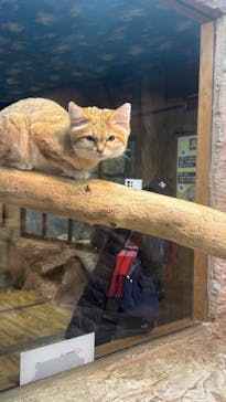 那須どうぶつ王国に投稿された画像（2025/12/21）